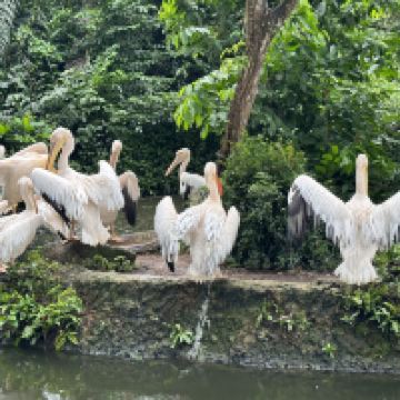 評論圖片 5