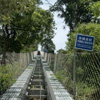 評論圖片 3
