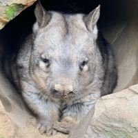 評論圖片 4