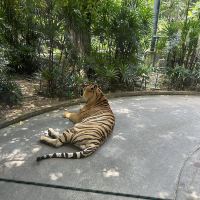 評論圖片 4