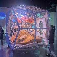 評論圖片 4
