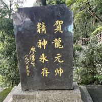 評論圖片 1