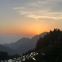 評論圖片 2