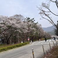 評論圖片 1