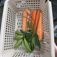 評論圖片 4