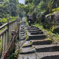 評論圖片 4