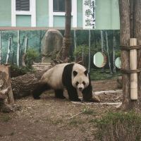 評論圖片 8