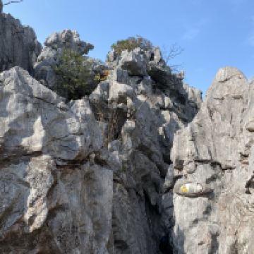 評論圖片 3