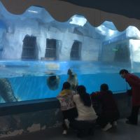 評論圖片 3