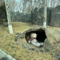 評論圖片 9