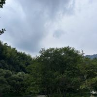 評論圖片 3