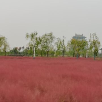 評論圖片 6