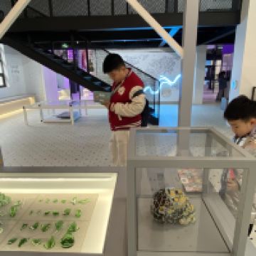 評論圖片 5