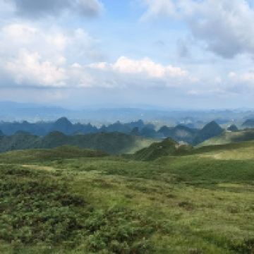 評論圖片 5