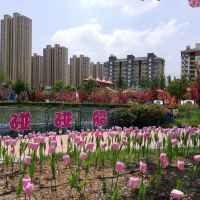 評論圖片 3