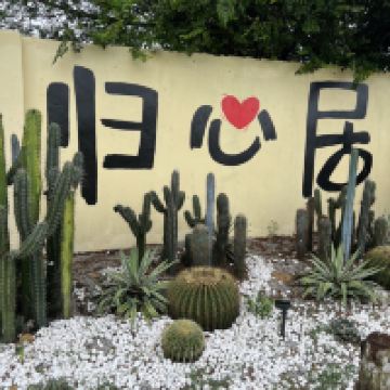 評論圖片 2