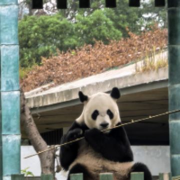 評論圖片 6