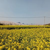 評論圖片 7