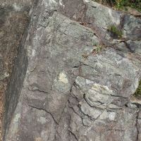 評論圖片 4