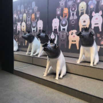 評論圖片 2