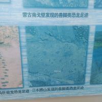 評論圖片 2