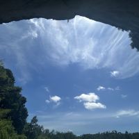 評論圖片 5
