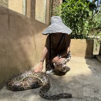 評論圖片 2