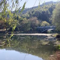 評論圖片 7