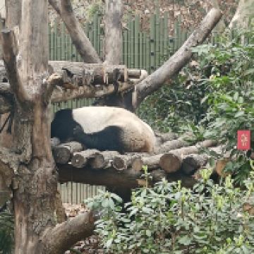 評論圖片 7