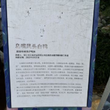 評論圖片 9