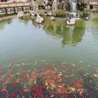 評論圖片 4