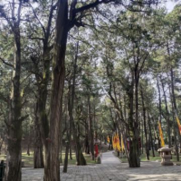 評論圖片 3