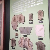 評論圖片 5