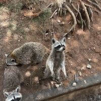 評論圖片 4