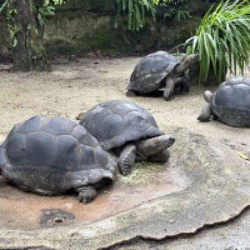 評論圖片 4