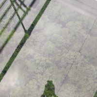 評論圖片 7