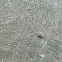 評論圖片 3