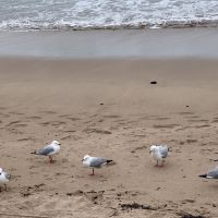 評論圖片 2
