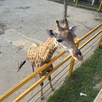 評論圖片 1