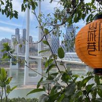 評論圖片 8