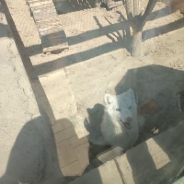 評論圖片 4