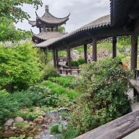 評論圖片 5