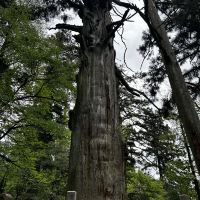 評論圖片 6