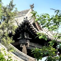 評論圖片 8
