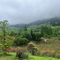 評論圖片 1