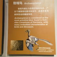 評論圖片 3
