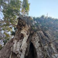 評論圖片 3