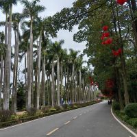 評論圖片 2