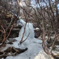 評論圖片 3