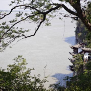 評論圖片 4